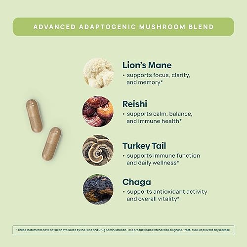 Miniatura 4 de Cápsulas de suplemento de hongo de melena de león con niacina Cápsulas complejas de hongos, con hongos de cola de pavo, hongo Chaga y extracto