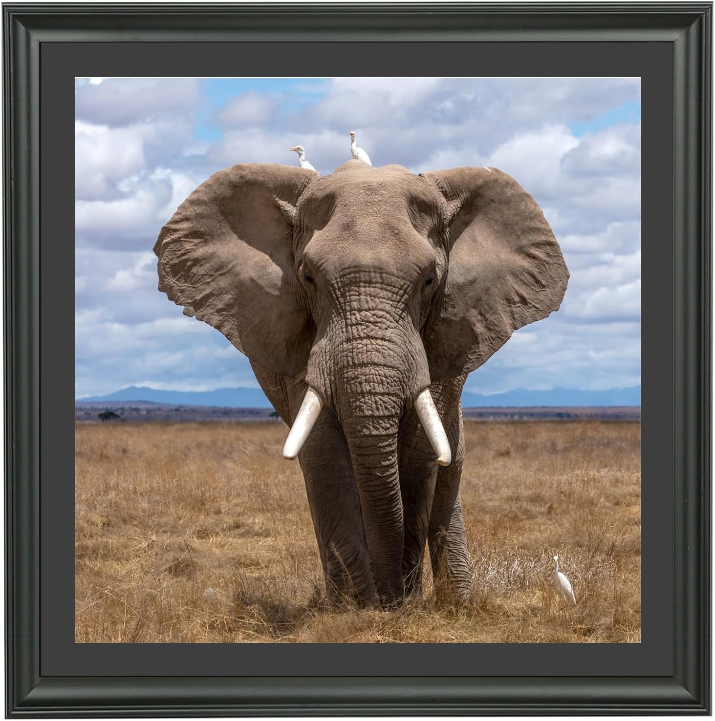 LTYHHK 22x22 Picture Frame Solid Wood with Black Mat, Displays Picture 20x20 with Mat or 22x22 Inch without Mat, Poster Frame 22x22 Photo Frames 20x20 Diamond Painting Frame Black (L23B2222B2020)