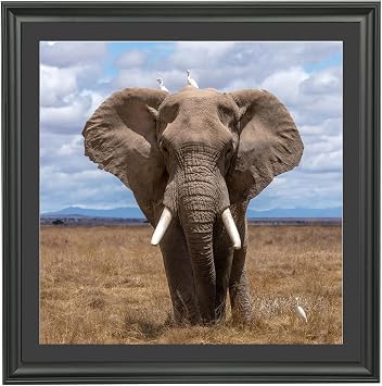 LTYHHK 22x22 Picture Frame Solid Wood with Black Mat, Displays Picture 20x20 with Mat or 22x22 Inch without Mat, Poster Frame 22x22 Photo Frames 20x20 Diamond Painting Frame Black L23B2222B2020