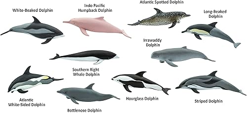Miniatura 4 de Safari Ltd. Dolphin TOOB - 10 figuras de delfines en miniatura, juego de juguetes educativos para niños, niñas y niños a partir de 3 años