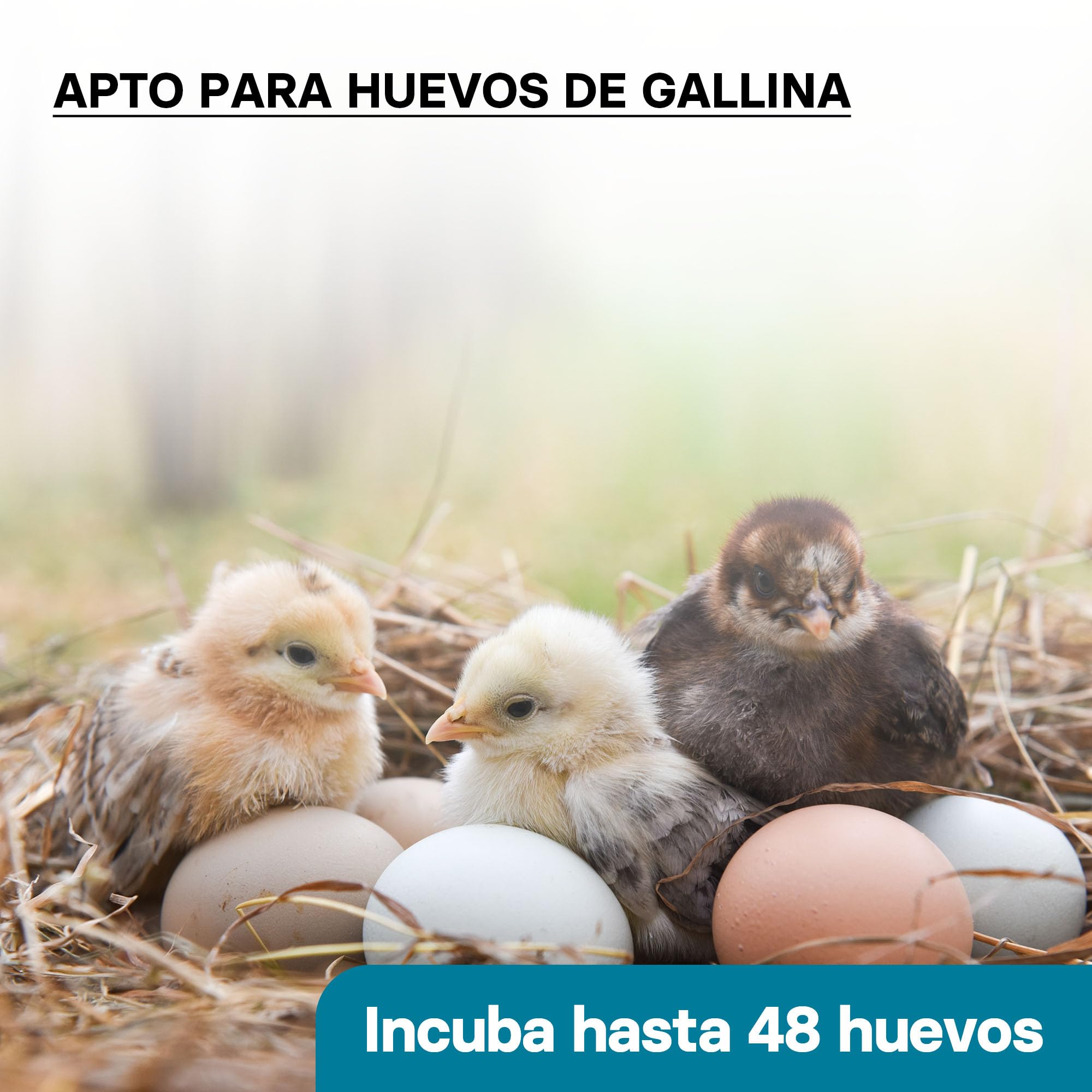Incubadora automática capacidad para 48 huevos de gallina y 4 ventanas observación, pato, codorniz