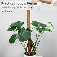 Vista 4 de JJGoo Poste de musgo para plantas Monstera, paquete de 2 postes de soporte para plantas de 23.6 pulgadas, poste de tótem de fibra de coco extensible