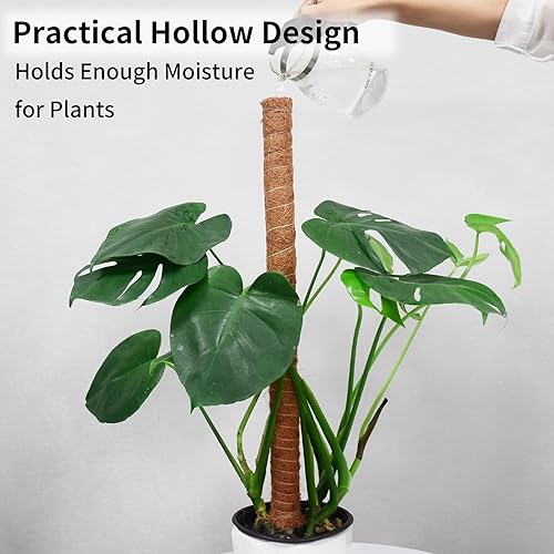 Miniatura 4 de JJGoo Poste de musgo para plantas Monstera, paquete de 2 postes de soporte de plantas de 23.6 pulgadas, poste de tótem de coco extensible para