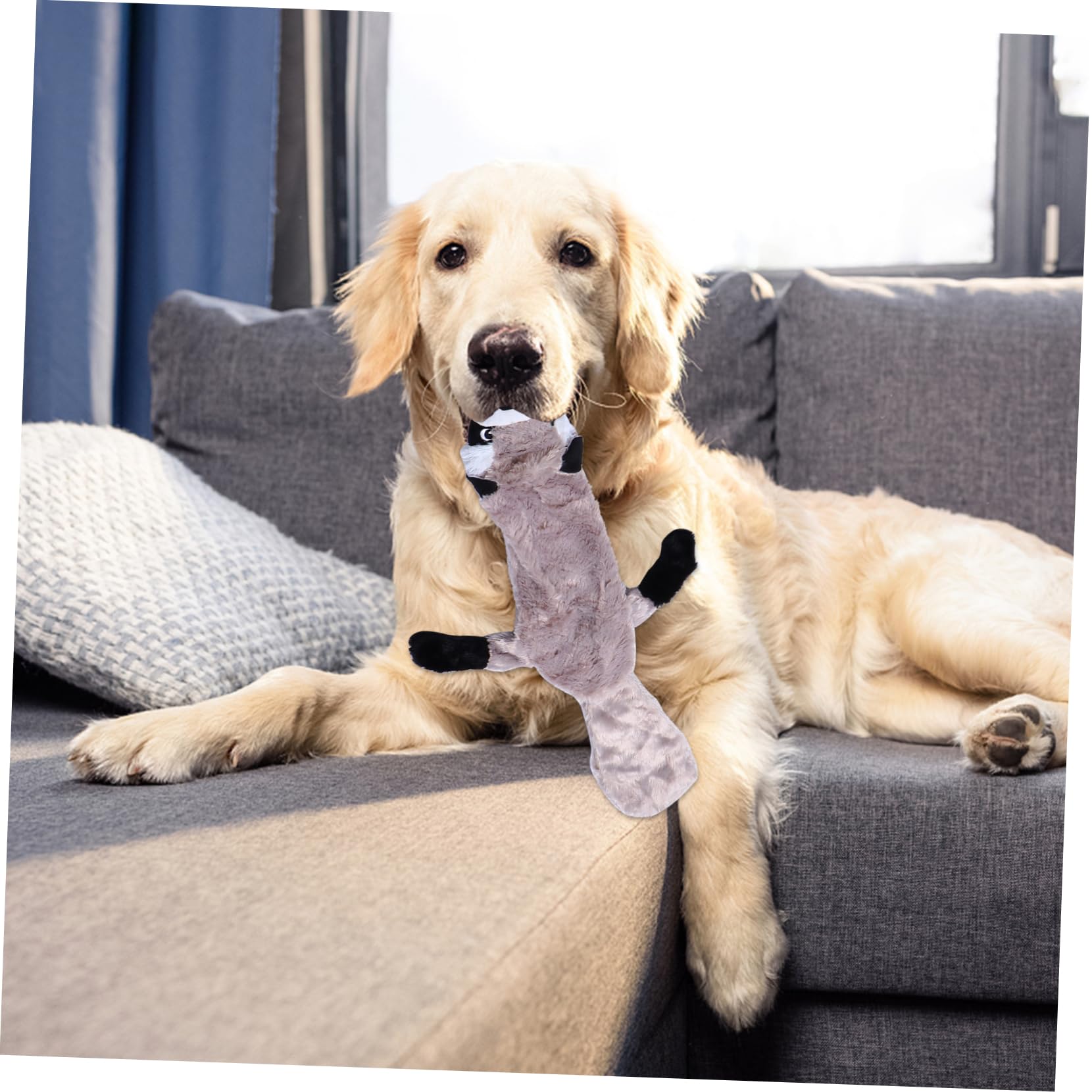 Toddmomy 6piezas Juguete De Molar De Peluche para Perros Juguete Sonoro para Mascotas para Masticar y Limpiar Dientes