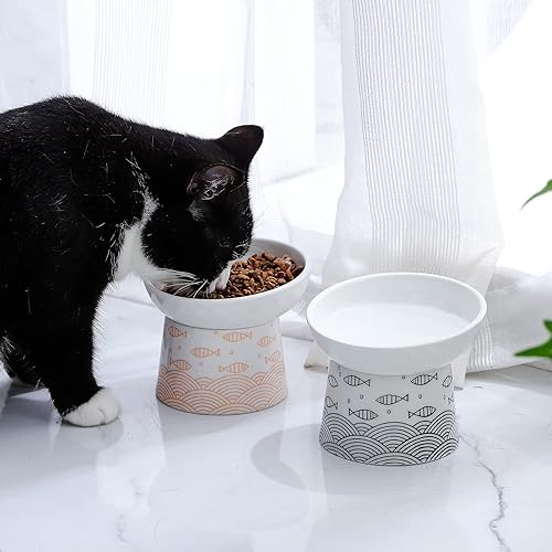 Miniatura 2 de OMAYKEY Cuencos elevados de cerámica para gatos, juego de cuencos elevados inclinados para comida y agua, plato de porcelana libre de estrés para
