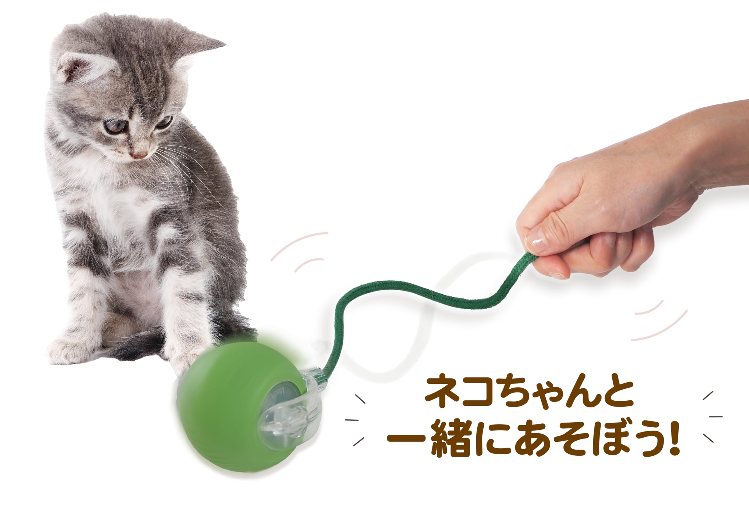 Amazon | ころころギミック ねこボール グリーン IB-370 | インター