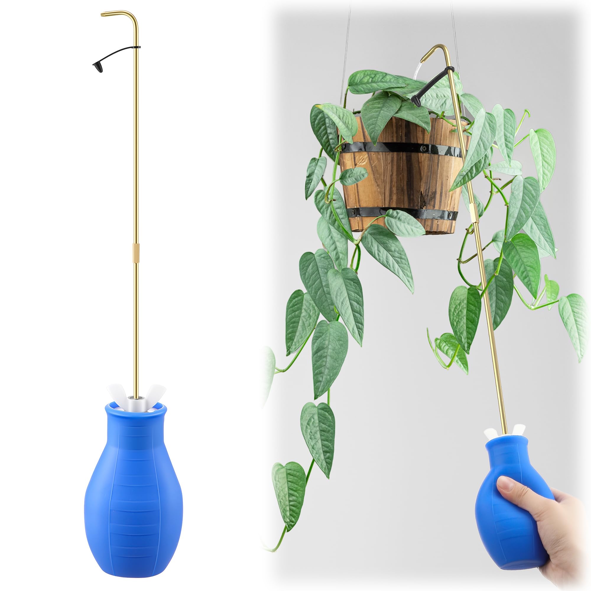 Amazon.com : Squeeze Bottle for Hanging Plants, 19