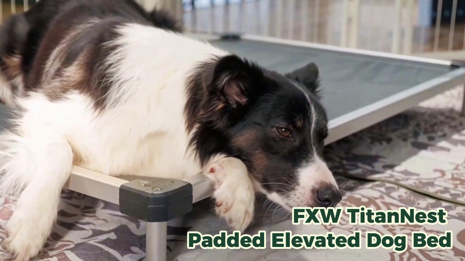 Amazon.com : FXW TitanNest Chew-Proof Elevated Dog Bed, Raised Cot