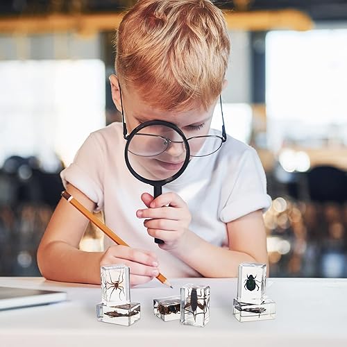 Miniatura 6 de Woanger 10 piezas de insectos en espécimen de resina de insectos en resina colección de insectos, pisapapeles divertidos animales de resina