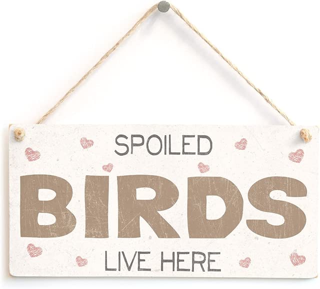 Meijiafei Spoiled Birds Live Here - Vintage PVC Bird Sign /Plaque10 x5