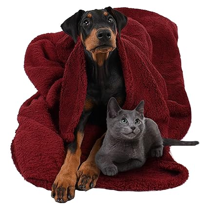 Pawsse Large Dog Sherpa Blanket 50
