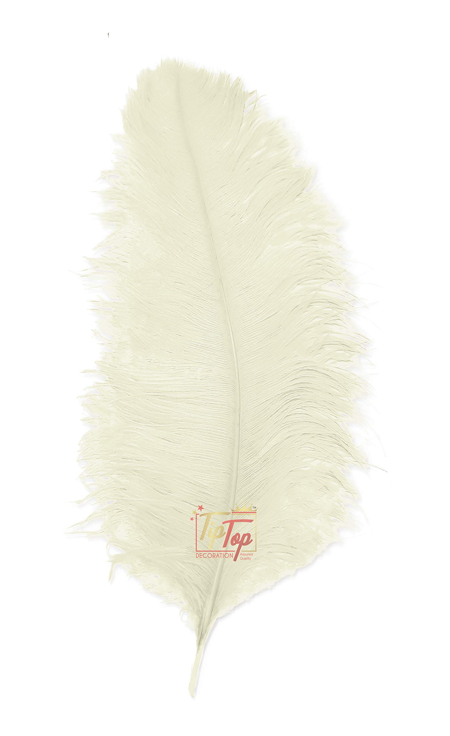 24i ★ay eternal feather TIPTOP DECORATION Premium Dyed Ostrich Feather (22-24 Inch