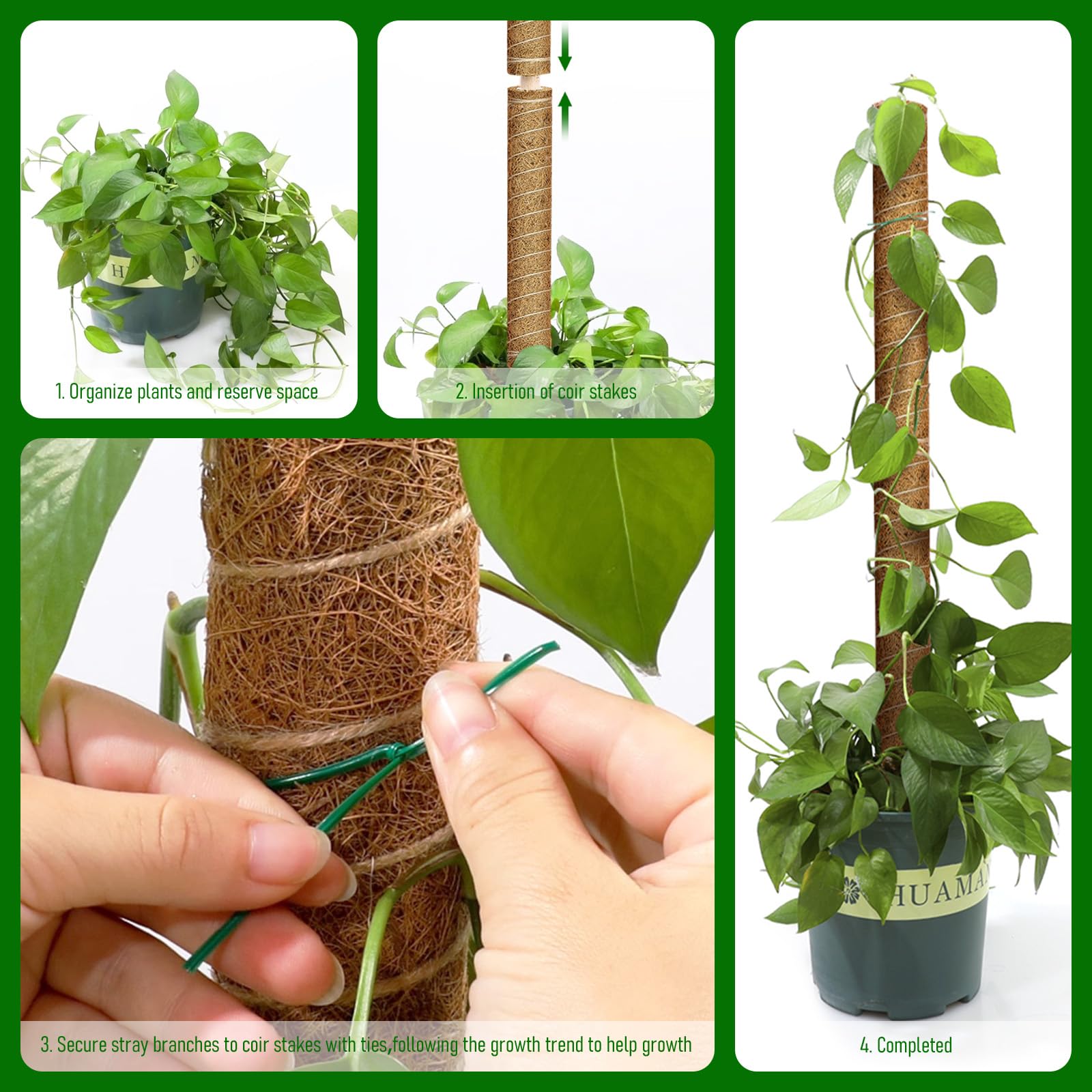 Tuteurs En Fibre De Coco Pour Plantes Grimpantes - Kit Avec 5 Tuteurs De 42 Cm + Attaches, Cordes, Pelles - Extensible, Naturel