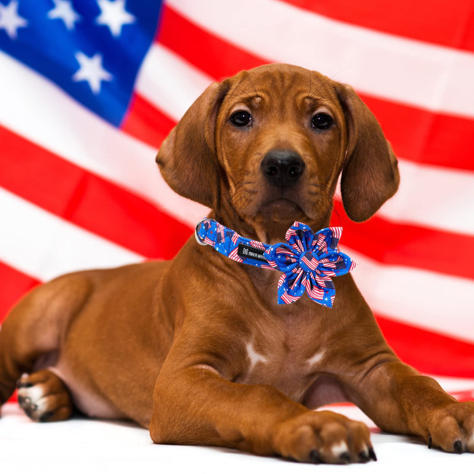 Hundehalsband 4. Juli - USA Flagge, Sterne, Baseball Design, Verstellbar Mit Schnellverschluss Für Kleine/mittelgroße Hunde