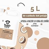 Ver la foto 6