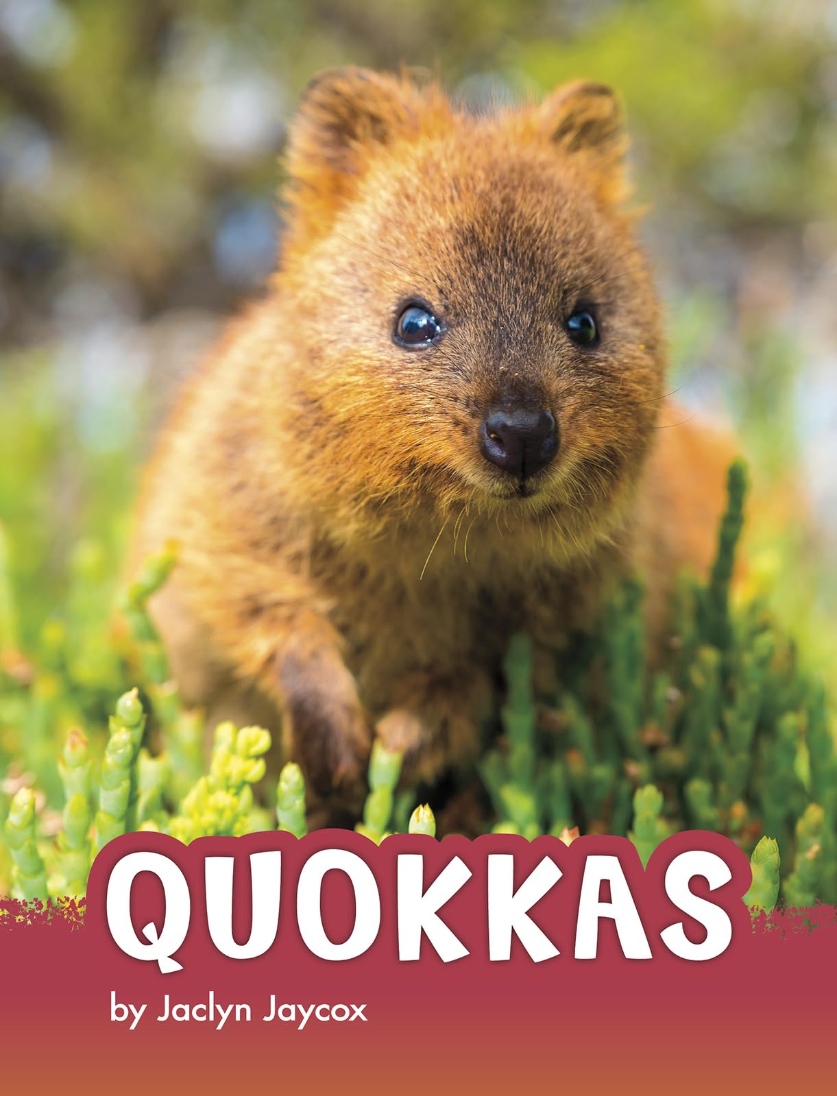 Quokkas (Animals)