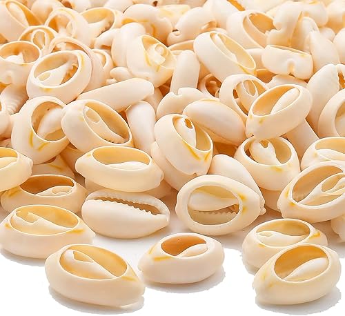 HERZWILD 180 cuentas de cauri semielaboradas, pequeñas conchas de mar naturales ovaladas para pulseras, tobilleras, aretes, joyería, manualidades