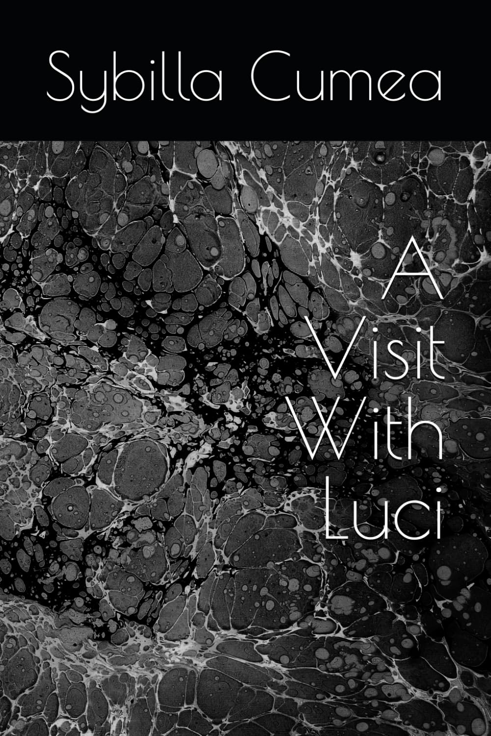 A Visit With Luci (A Collection of Shorts for When You Only Have A Few Minutes)