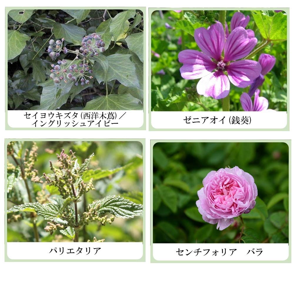 Amazon | 草根木花 ハーブ アストリンゼントローション No.2（紫根化粧