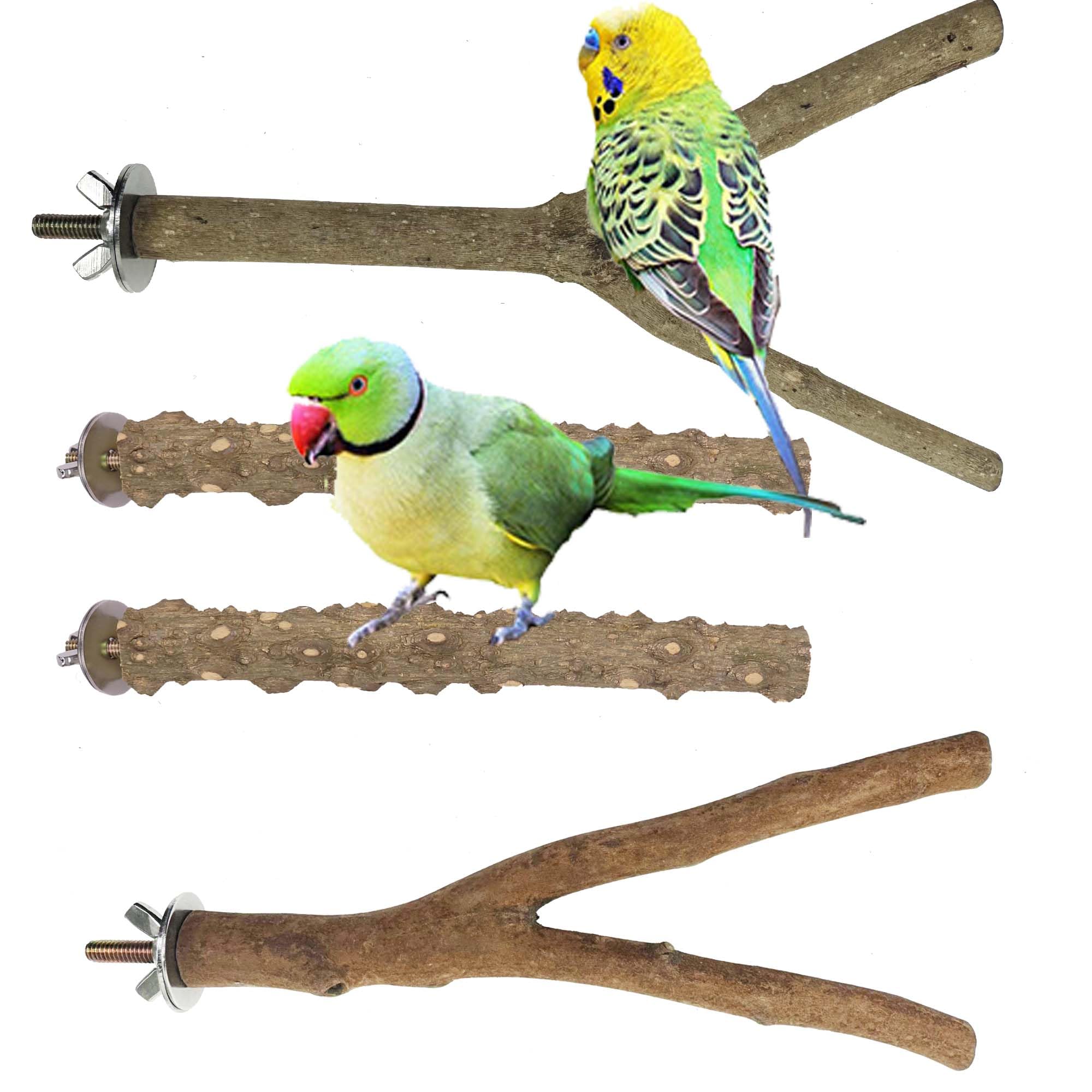 Allazone 4 PCS Natural Parrot Perch Wooden Parrot Perch Stand Bird Stand Parakeet Climbing Standing Branches Toy for Small Lovebirds Budgies Cockatiels - image 3