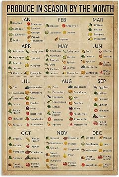 HOUVSSEN Produce in Season by The Month Poster Knowledge Wall Decor Artwork Gift for Mom Chart Sign School Metal Tin Signs 8x12 Inch