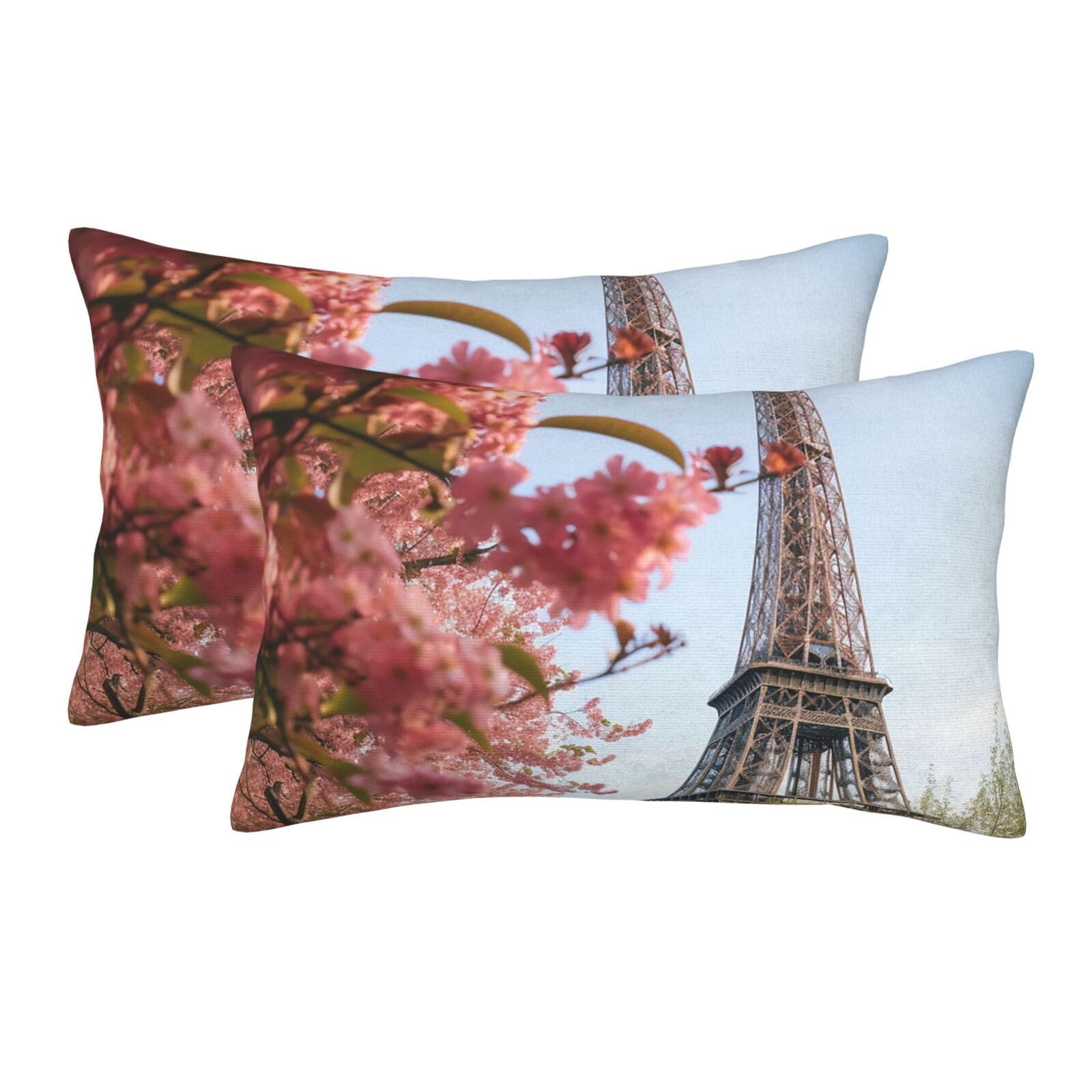 2 Pack Standard Size Pillow Cases for Hair and Skin Soft Breathable Pillow Case Covers with Hidden Zipper Paris Eiffel Tower Flower Pillowcase 14"x20" Pillow Cover for Sleeping Gift