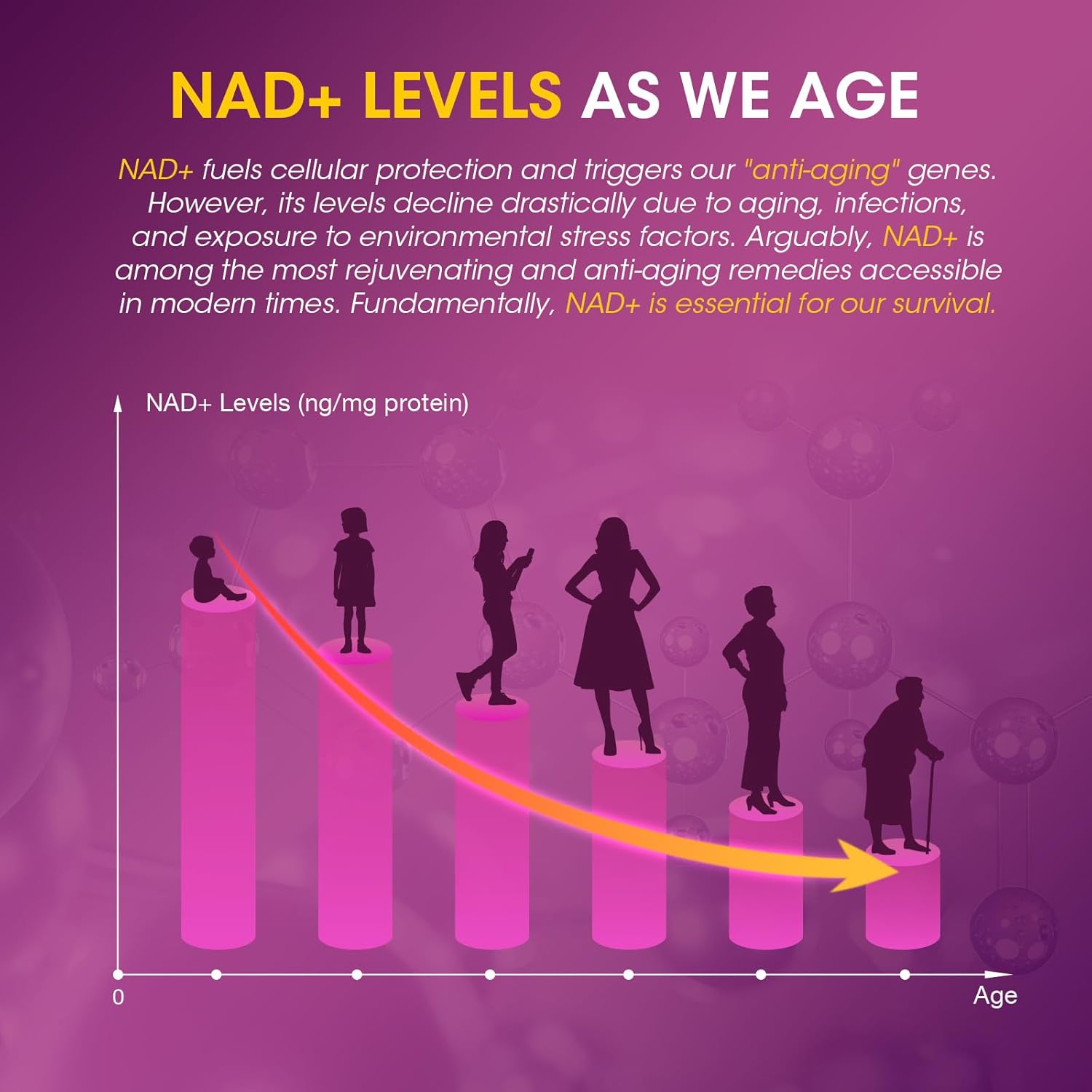 NAD Resveratrol Gummies, NAD Supplements for Women with Hydrolyzed Collagen, Grape Seed, and D-Biotin Support Antioxidant Action, Anti-Aging, Cell Regeneration & Energy, Sugar-Free, 60 Gummies - Image 8