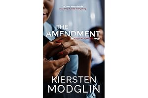 The Amendment: A Novel