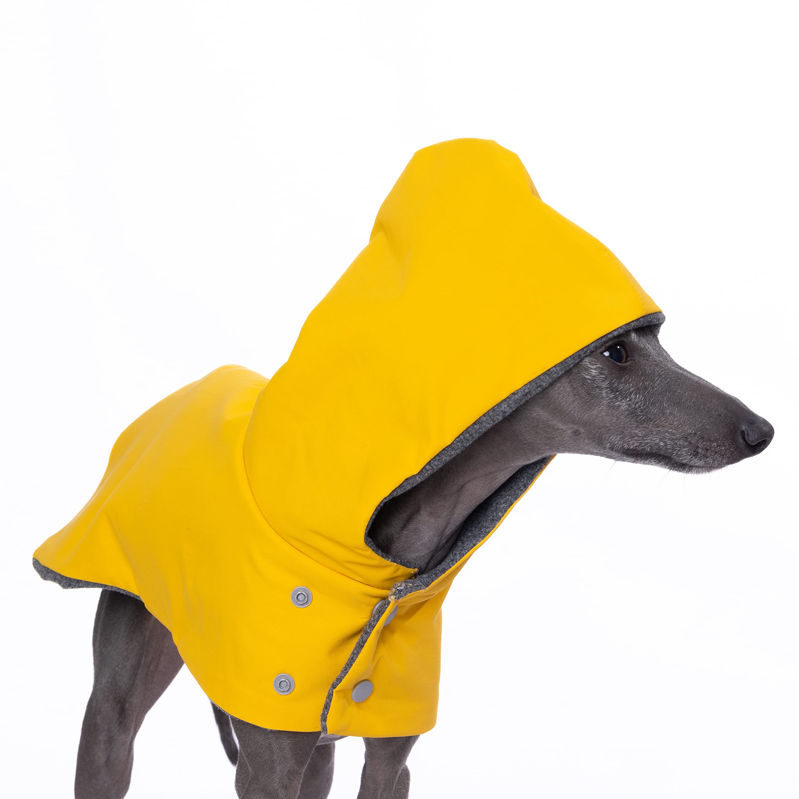 Yigi Italienischer Windhund-Regenmantel mit Kapuze, wasserdicht, mit Geschirröffnung, leicht, atmungsaktiv Regenponcho Hunde-Regenmantel Jacke für italienischen Windhund (groß)