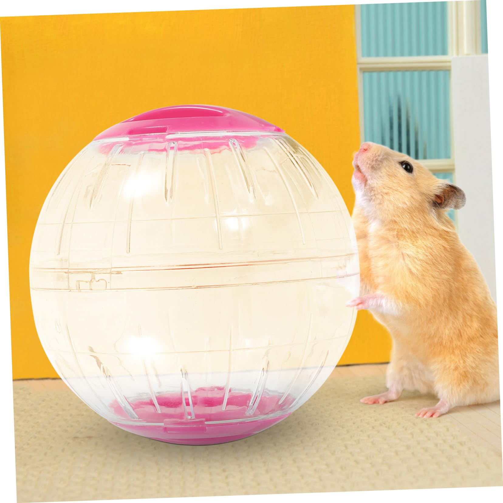ibasenice 4 Pièces Balle Exercice Transparente pour Petits Animaux Roue Silencieuse Anti-évasion pour Hamster Gerbille Souris et Cochon Activité Sécurisé et Stimulant