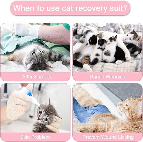 Miniatura 5 de Traje de recuperación de cirugía para gatos pequeños, mameluco de recuperación quirúrgica para mascotas después de la cirugía, para hembra, macho,