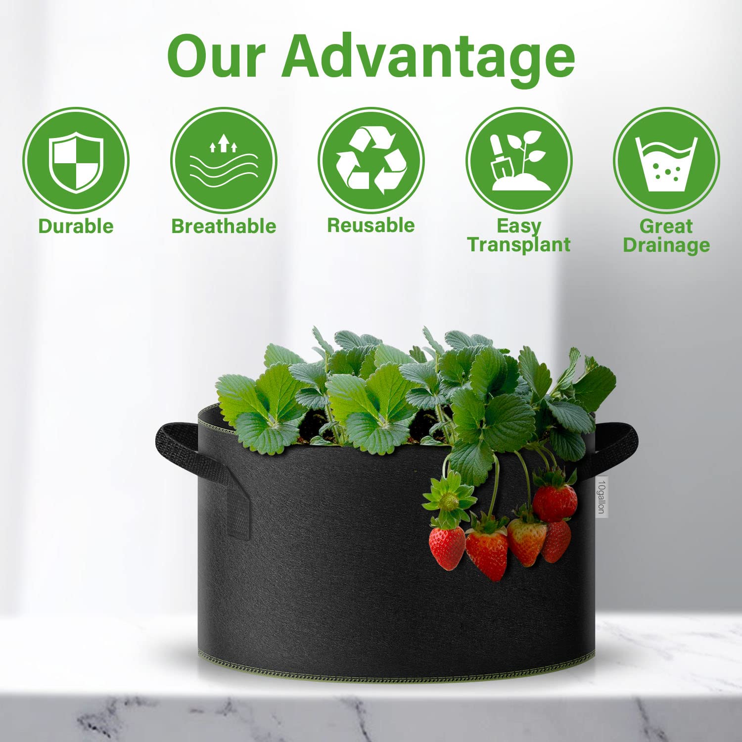 iPower Contenedor con Asas de Correa para jardín y Plantar Flores Vegetales, Negro con Costura Verde, 5 galones