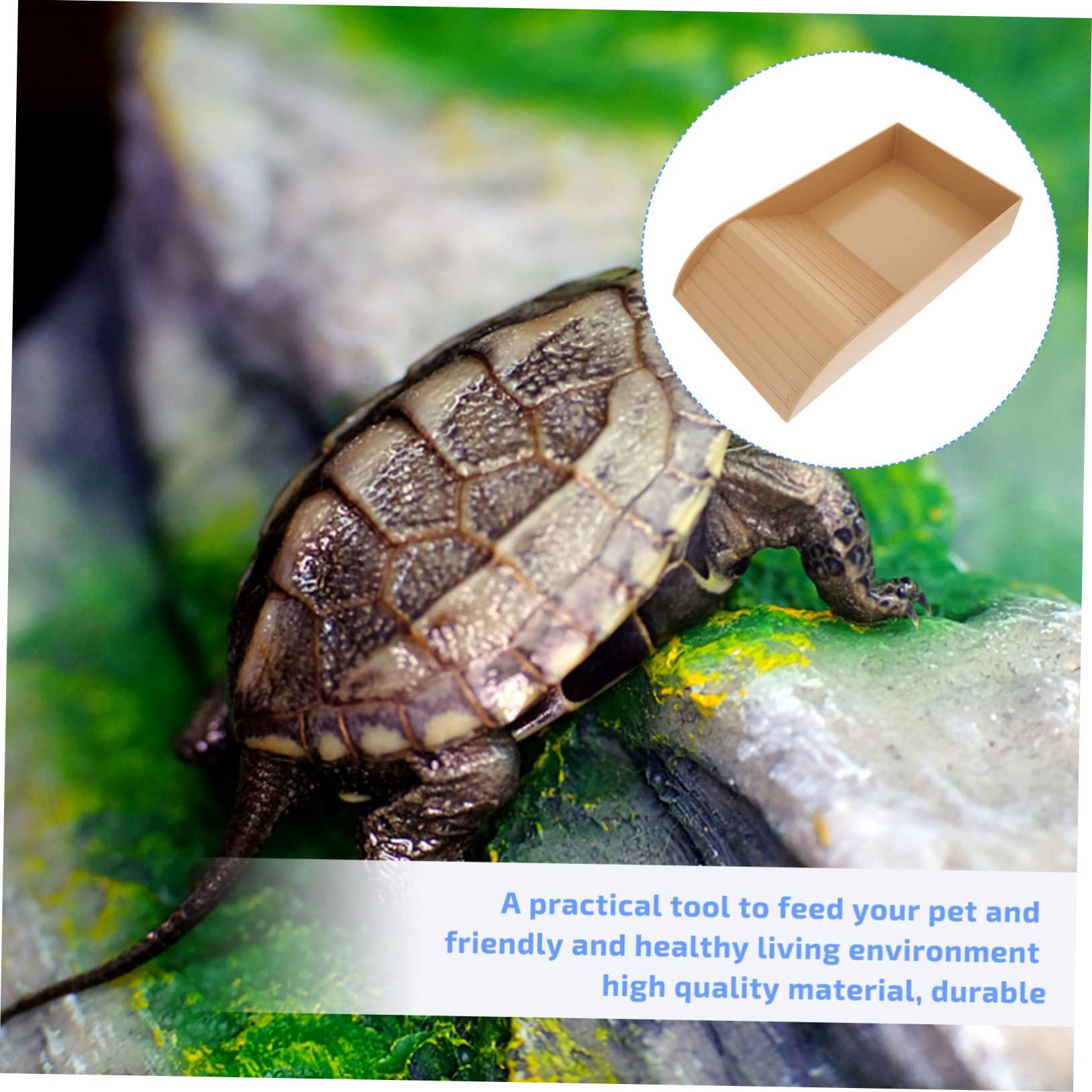 GALPADA Reptile Feeding Bowl Durable Plastic Water and Food Dish for Tortoise Turtle Lizard and Scorpion Compact Design Easy to Clean for Pets