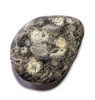 【鑑賞石】花紋石 錦石 135x170x80mm / 2700g 鑑賞石】花紋石 錦石 135x170x80mm / 2700g