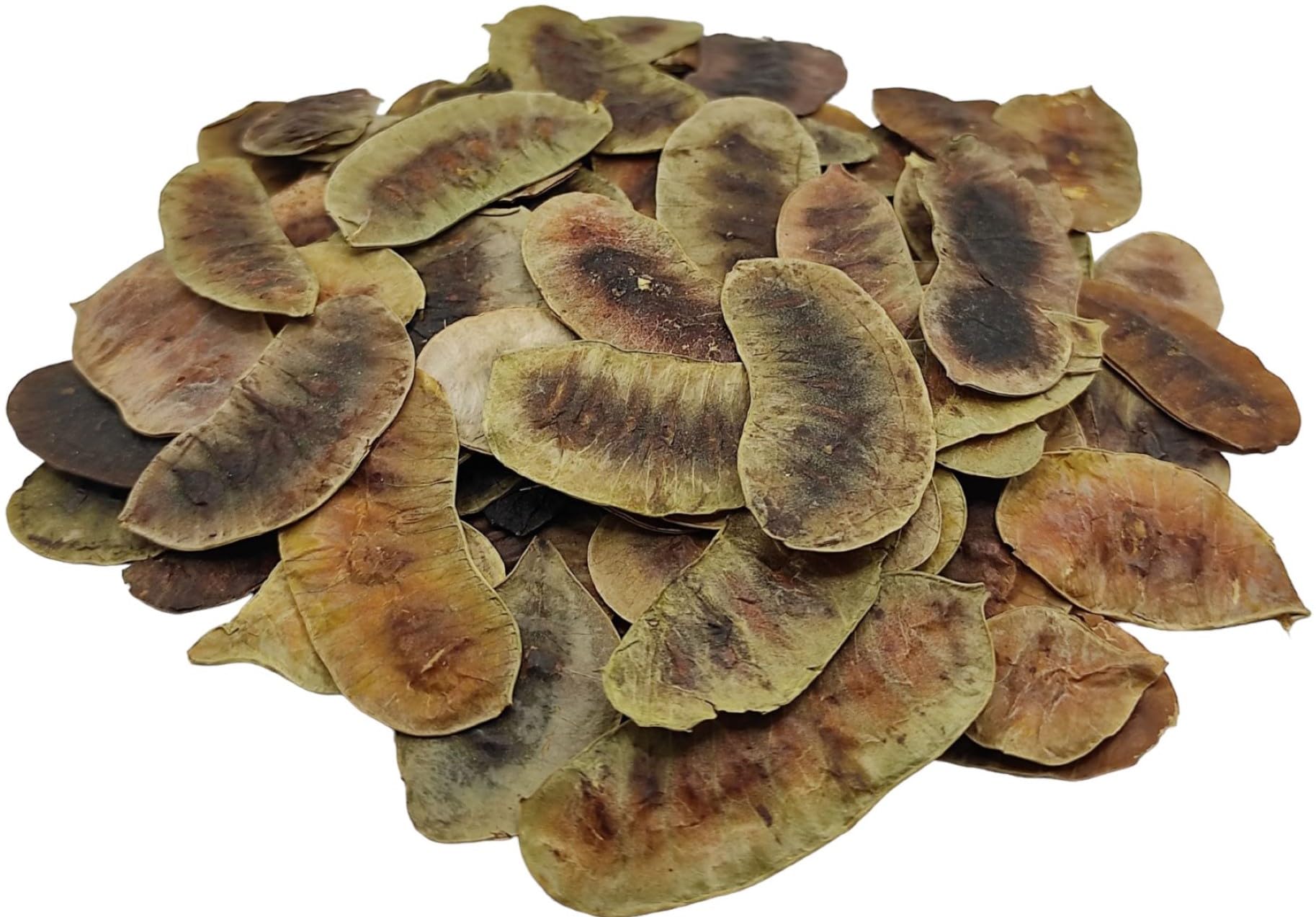 Getrocknete Senna Schoten Kräutertee 85g - 1,95 KG Prämie Qualität Senna Alexandrina (1950 gramm)