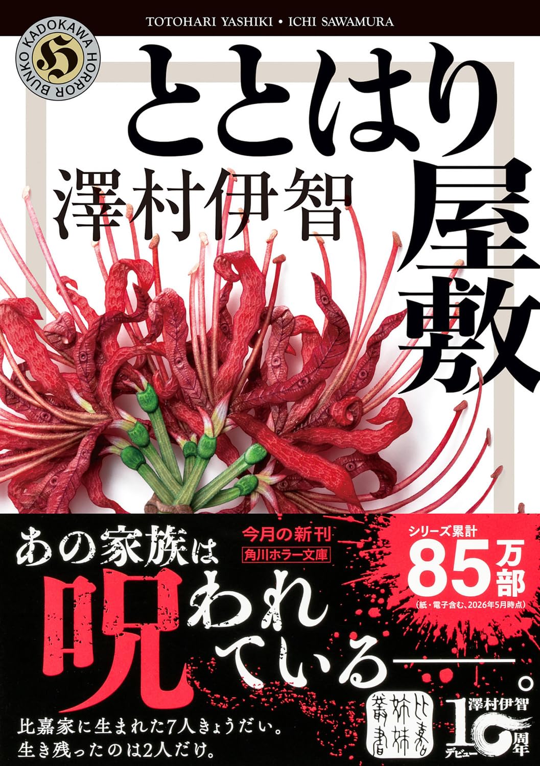 Amazon.co.jp: 澤村伊智: 本、バイオグラフィー、最新アップデート