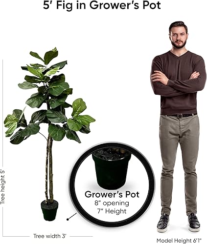 Miniatura 6 de Árbol de higo artificial de hoja de violín de 5 pies, planta artificial, hecho a mano por ciprés y alabastro con troncos de madera real