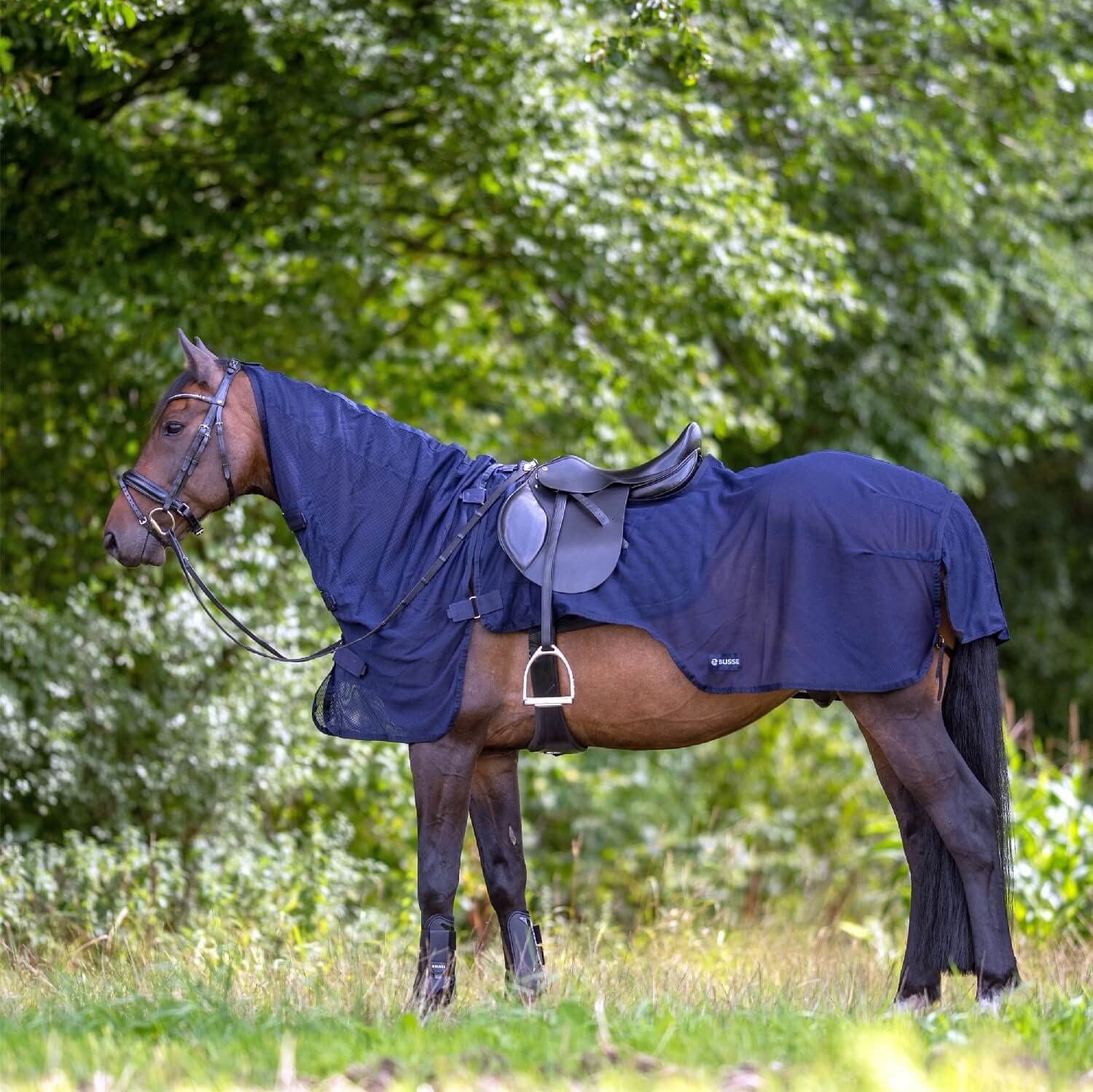 Couverture d'équitation BUSSE Flexi Fly au box et durant le transport du cheval
