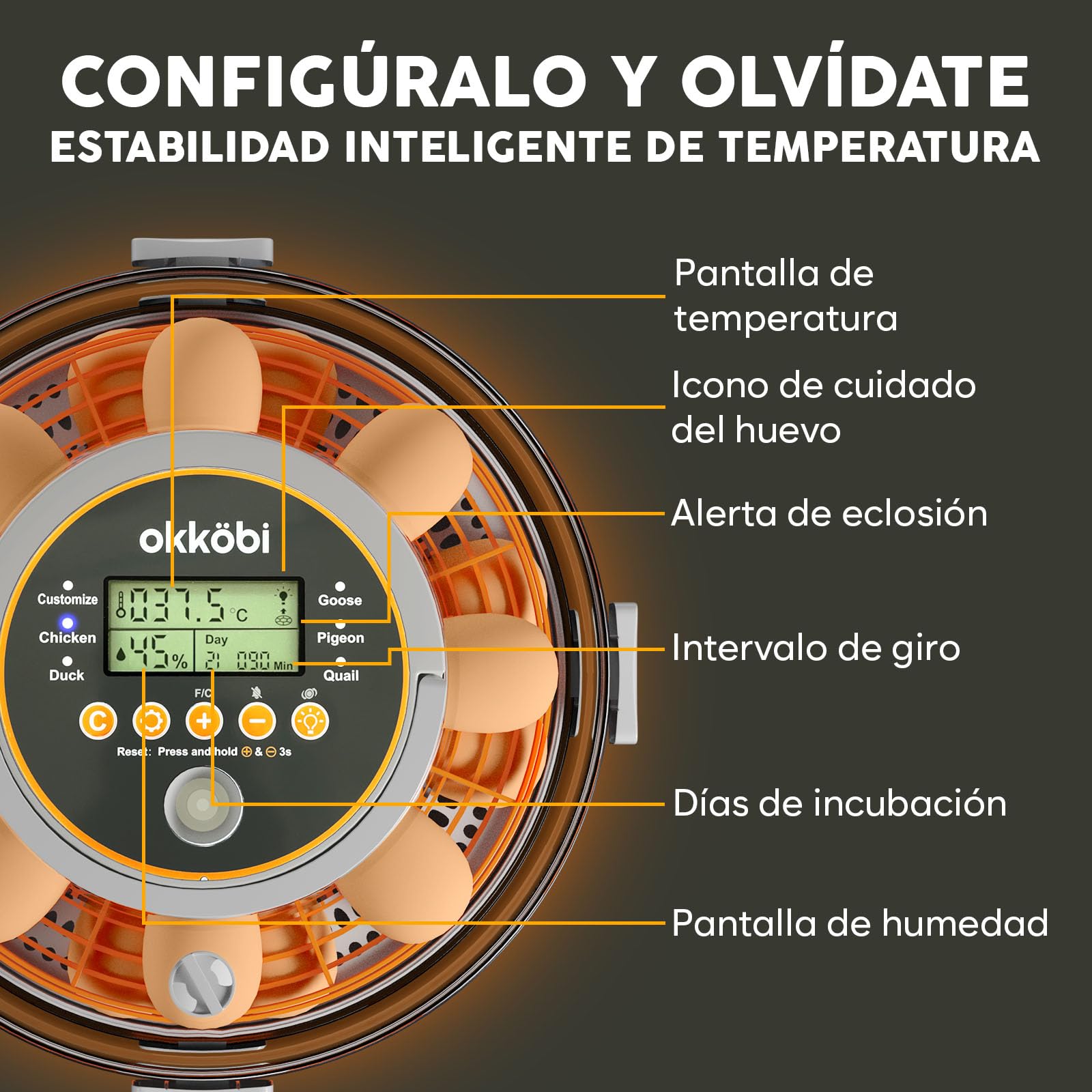 Incubadora automática Okköbi para huevos – incubadora huevos gallina 12 o 20 unidades – volteo automático – incubadora de huevos con control de temperatura y humedad – lámpara incluida