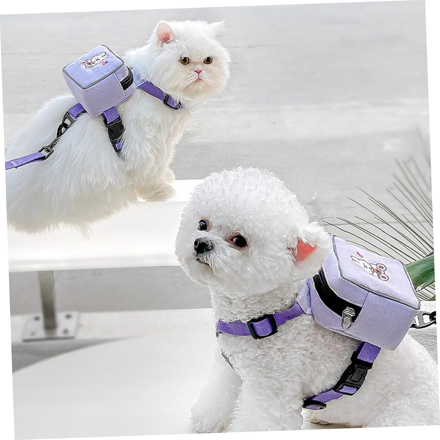 Backpack Harness with Leash for Cats and Small Dogs Flat Rope Design Long Leash for Controlled Outdoor Walking and Training Lightweight Vest for Small Pets