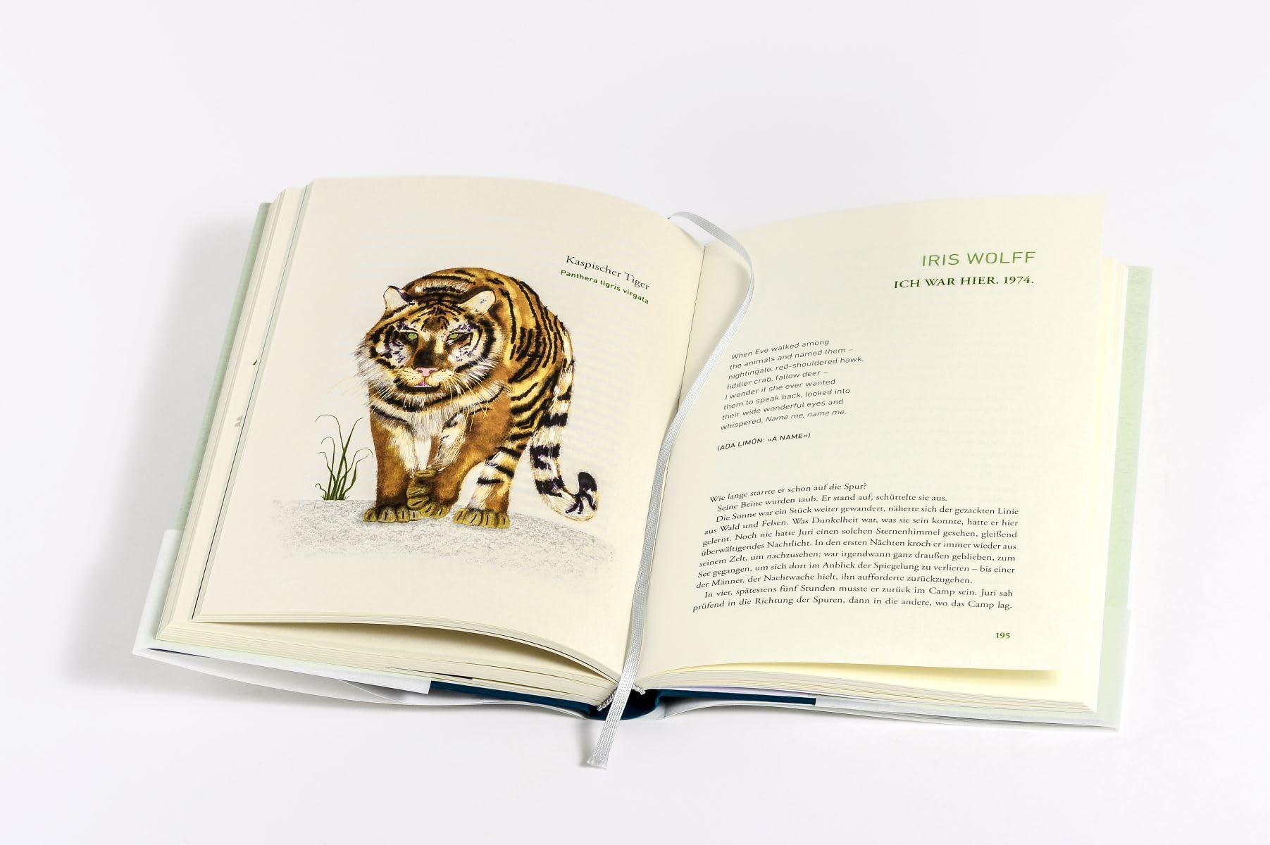 Wir dachten, wir könnten fliegen: 19 Geschichten über den Verlust der Arten und die Kraft der Literatur. - »Eine erhellende, beglückende Leseerfahrung.« Denis Scheck