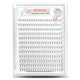 Individual Lashes, Lash Clusters, 240 Pcs 10D Individual Lash Extensions, Natural Soft Lightweight Reusable, Thickness 0.07mm C Curl False Eyelashes 8/9/10/11/12mm (10D 8-12mm)