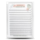 Individual Lashes, Lash Clusters, 240 Pcs 10D Individual Lash Extensions, Natural Soft Lightweight Reusable, Thickness 0.07mm C Curl False Eyelashes 8/9/10/11/12mm (10D 8-12mm)