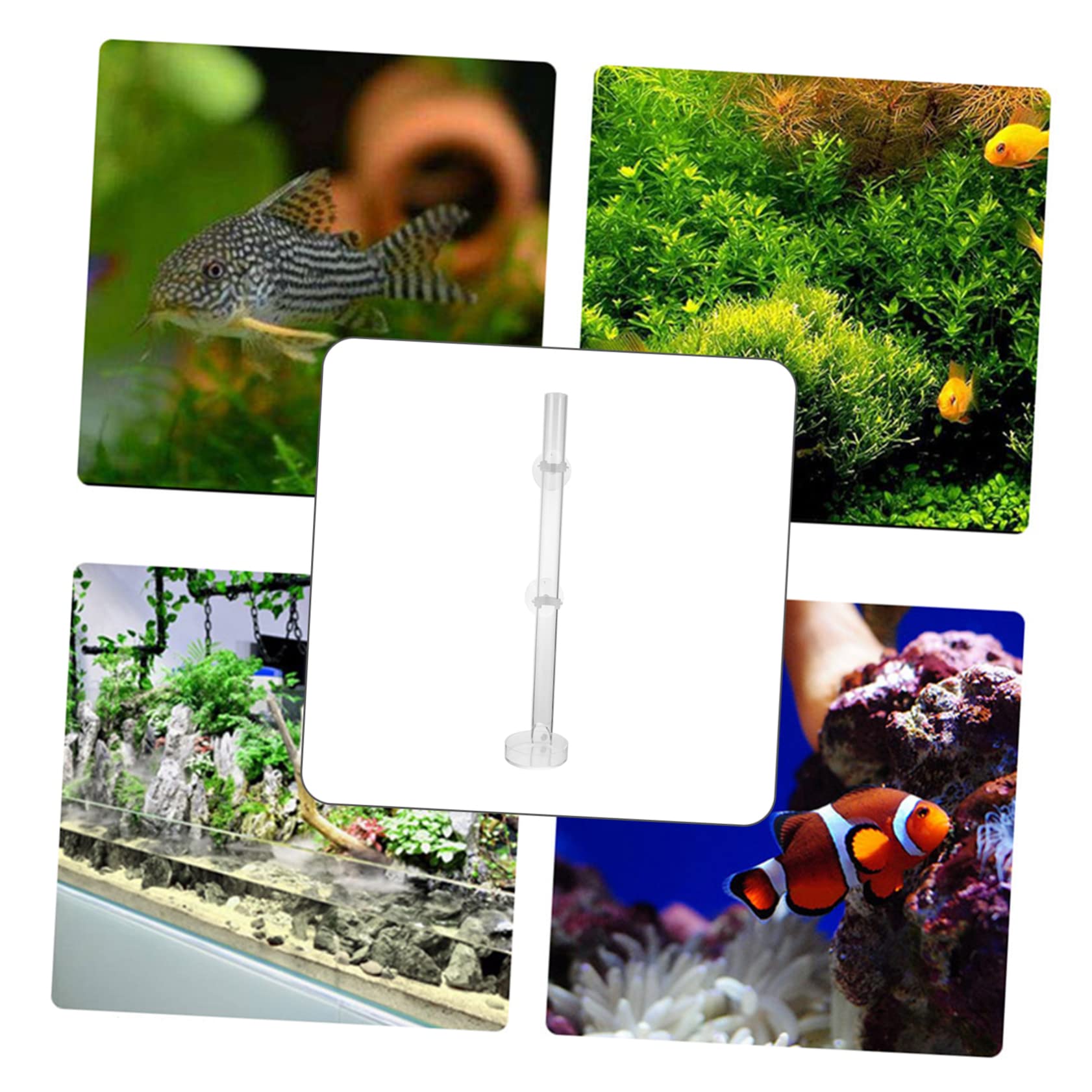 Ipetboom 2juegos Alimentador De Camarones para Acuario Tubo Transparente y Accesorios Sistema De Alimentación para Peces Tropicales Pequeños Incluye Ventosas y Bandeja Longitud