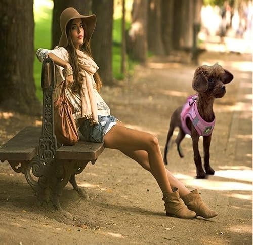 Miniatura 7 de Juego de arnés y correa para perro pequeño sin tirones, arnés a prueba de escape, chaleco de malla transpirable, arnés reflectante ajustable para