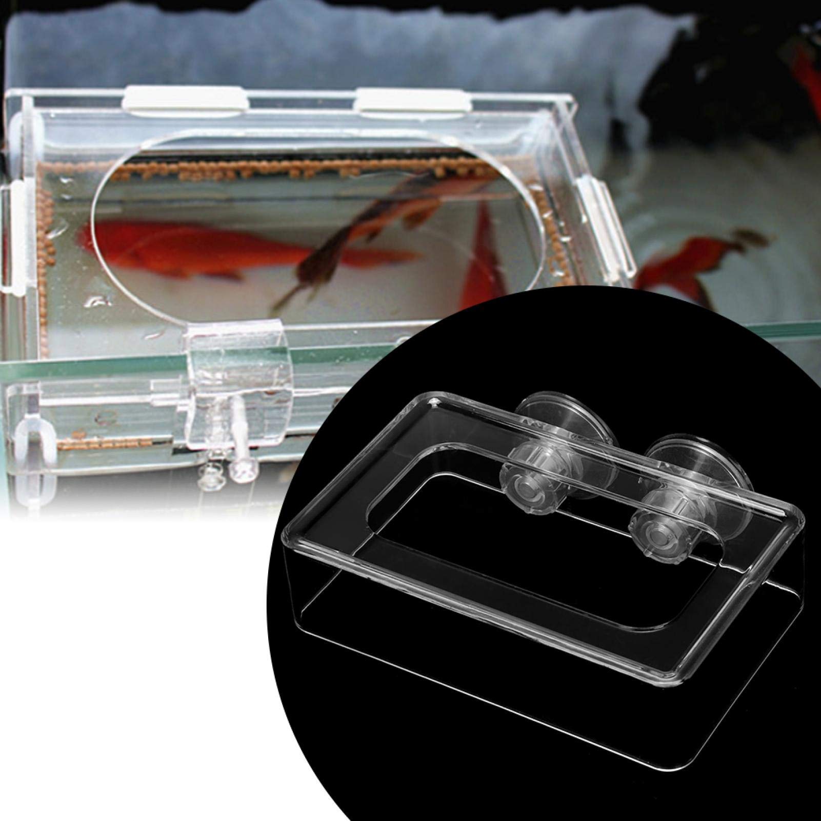 Fish Feeding Ring, Clear Acrylic Aquarium Shrimp Feeder Dish for Fish Aquarium with Suction Cups for Betta Goldfish Guppy(L)