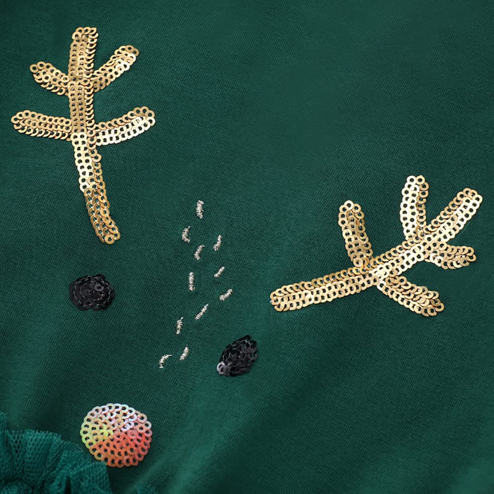 IMEKIS Niño bebé niña vestido de Navidad reno copo de nieve disfraz de princesa Shiny tul tutú algodón manga larga otoño invierno ropa con diadema Fancy Party Outfit, verde, 7-8 Años