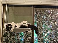 Review Image by Megan S.