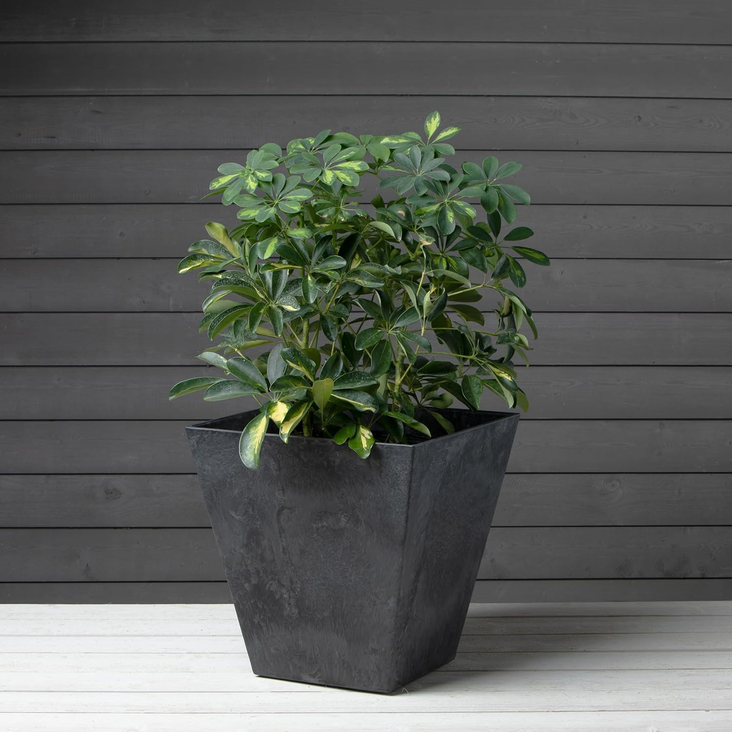 Root & Vessel, Black, 35168 Ella Square Planter, Black, 16-Inch