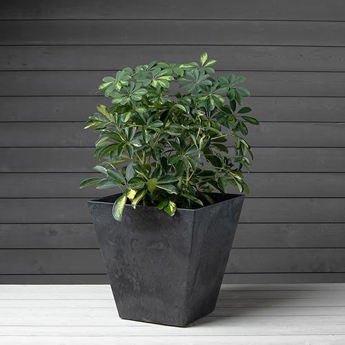 Miniatura 2 de Maceta ArtStone Ella cuadrada, 16 - pulgadas, Negro